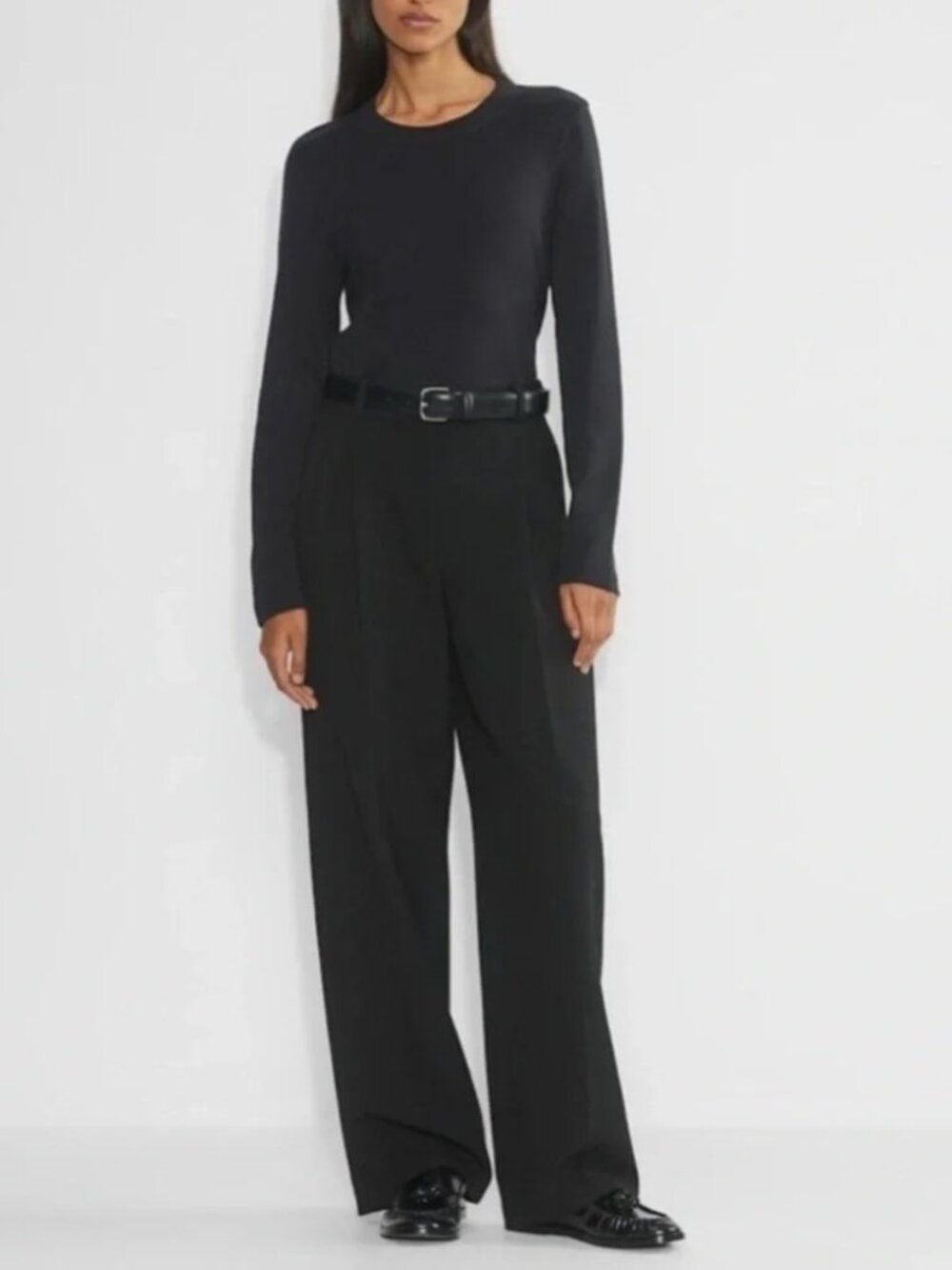 Aritzia Babaton The Pleated Pant